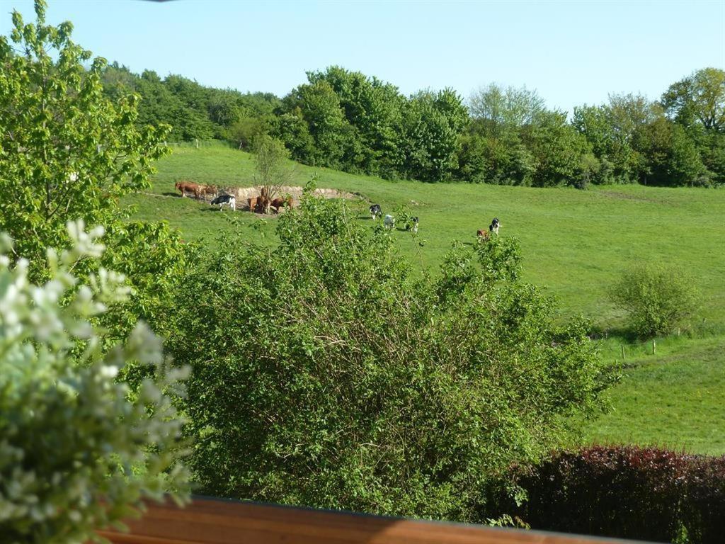 Ferienhof Jepsen Westerholz Oda fotoğraf